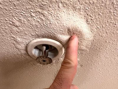 About Los Angeles Mold Cleanup Pros - mold cleanup experts in Los Angeles