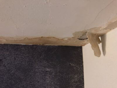 Professional mold cleanup services in Los Angeles
